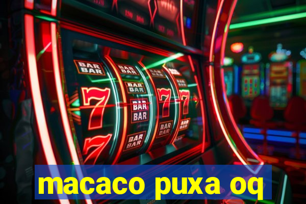 macaco puxa oq